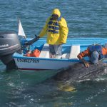 Gallery Thumbnail 13