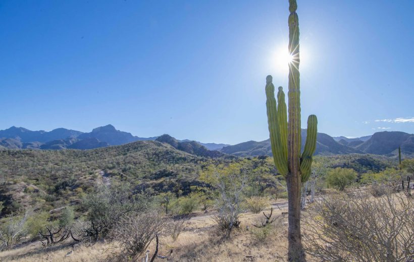 Desert & Whale 4wd Expedition