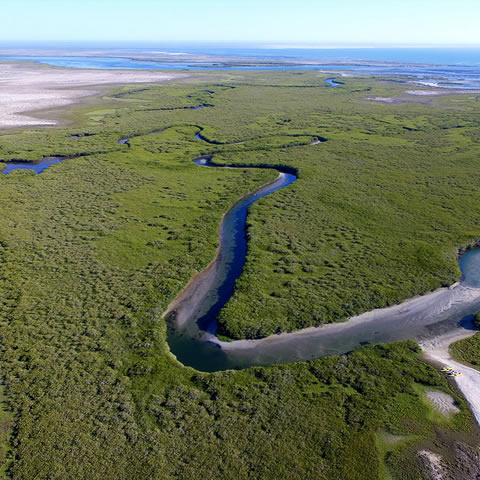 Laguna de San Ignacio